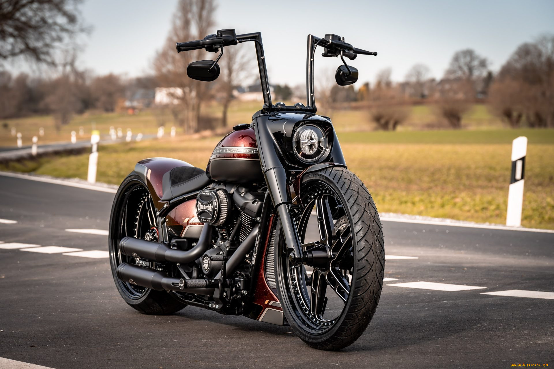 , harley-davidson, softial, red, force, customized, custombikes